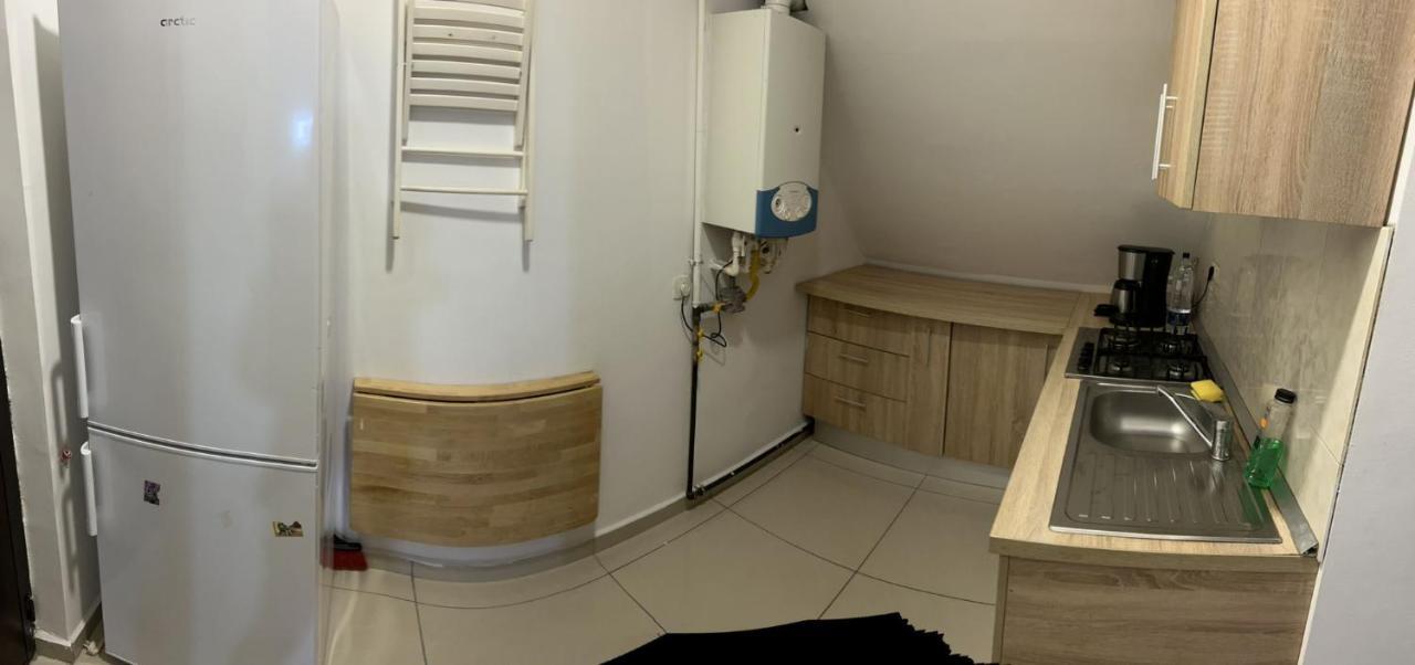Appartement Chez Ana à Otopeni Extérieur photo